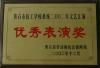 优秀表演奖 2002