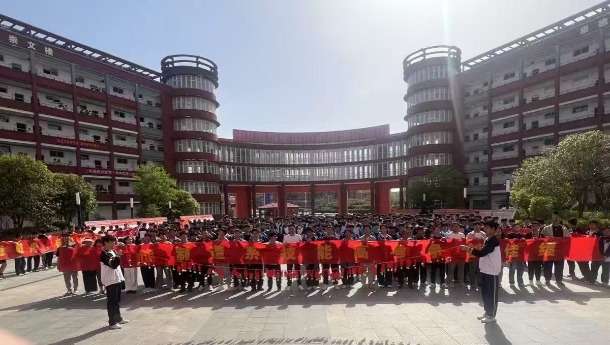 图片8