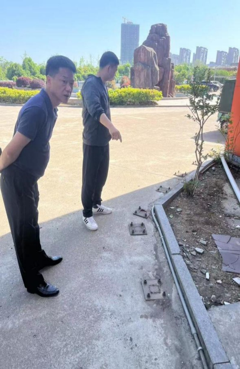 图片12