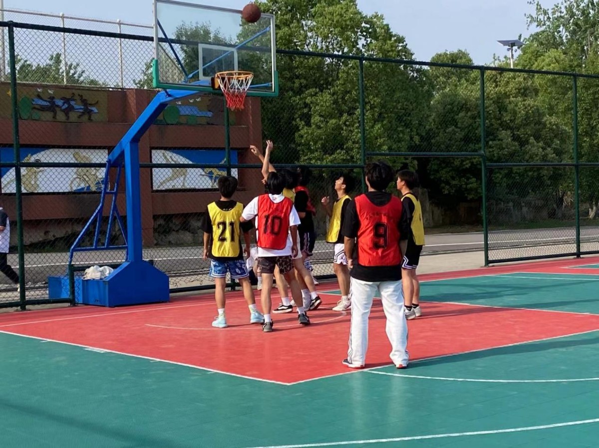 图片7