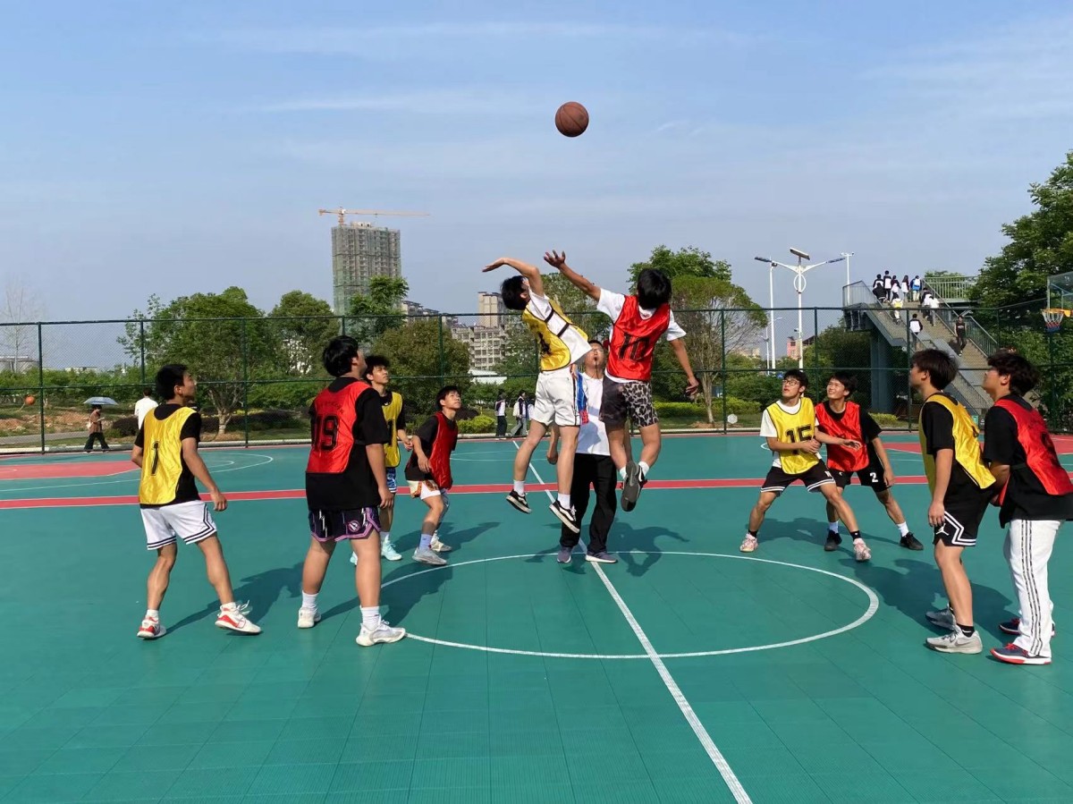 图片6